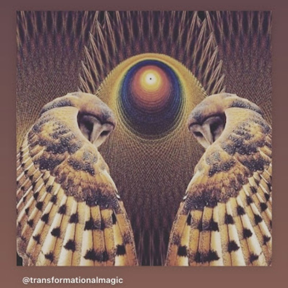 Meet your Posher, Alicia - Picture 1 of 1